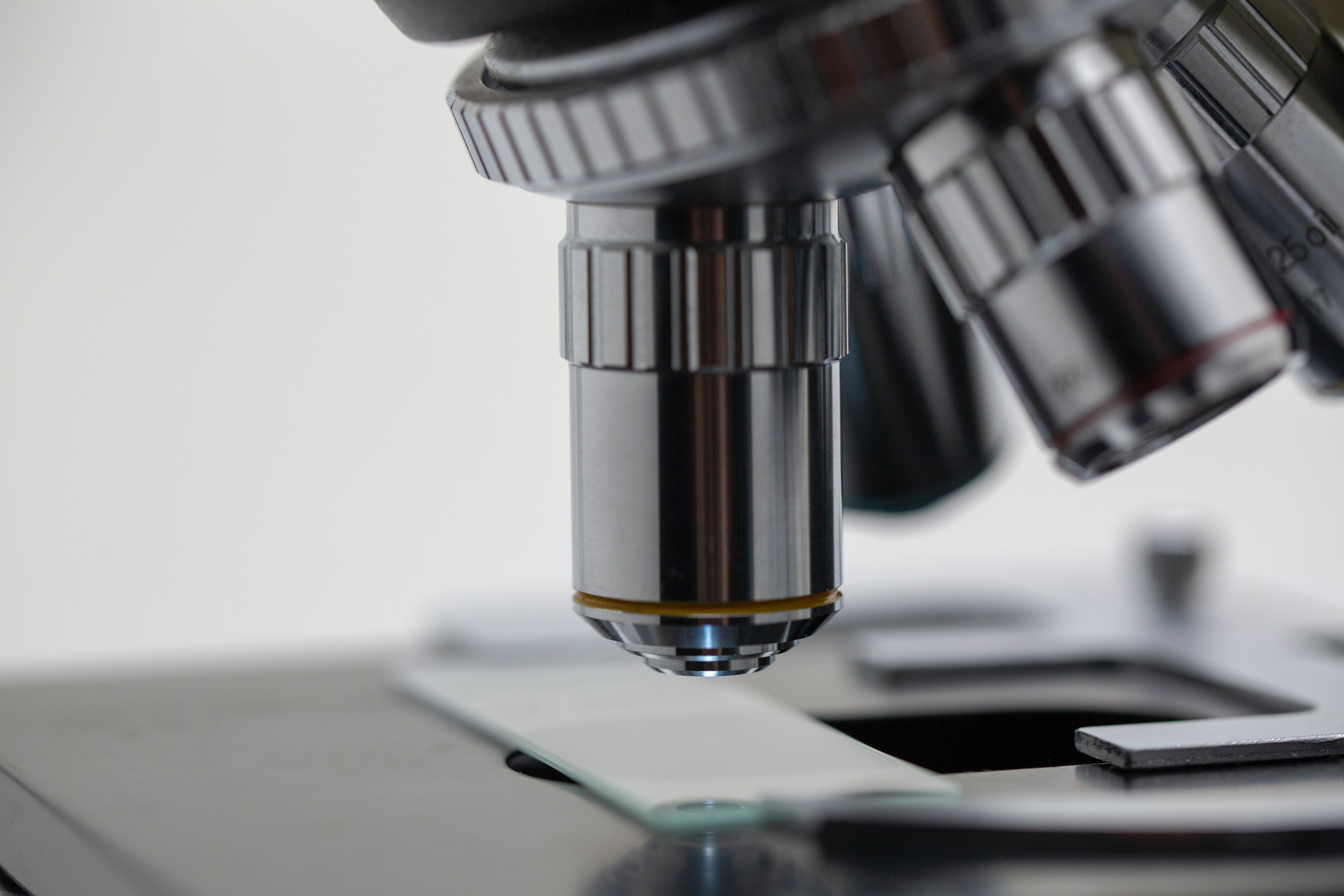 picture of a microscope